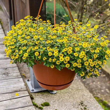 Holiday home Attractive In Sch Nbrunn With Garden
